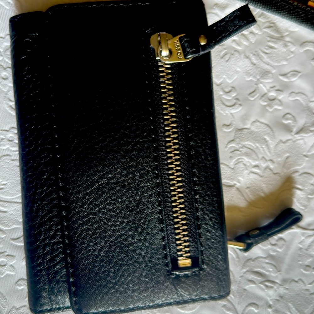 Fossil Trifold